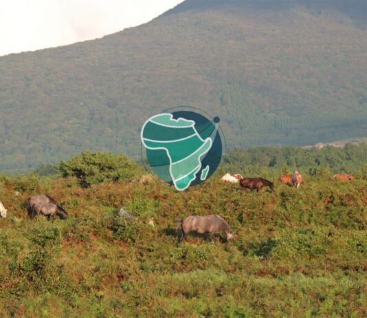 Rangeland